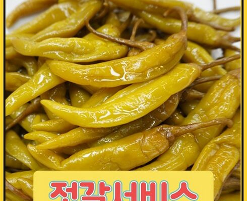 mokachika | 모카추천 가성비 최고 삭힌고추양념 Best7