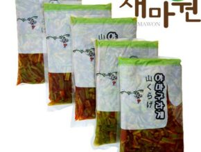 mokachika | 모카치카 추천 야마구라게 Best7