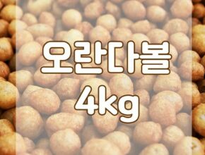 mokachika | 모카치카 추천 영남제과 Best7