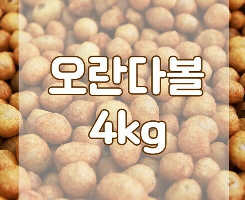 mokachika | 모카치카 추천 영남제과 Best7